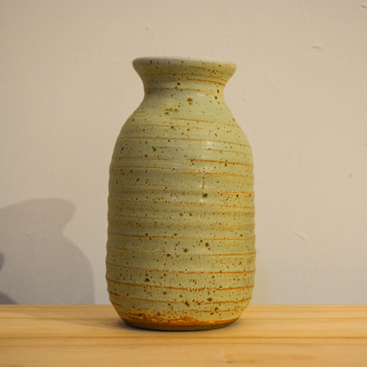 Speckled Matte Vase